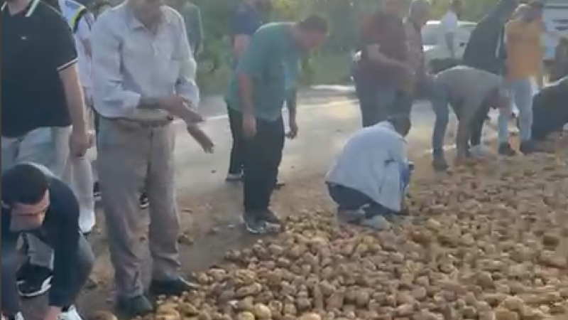 Taraftar yol açtı