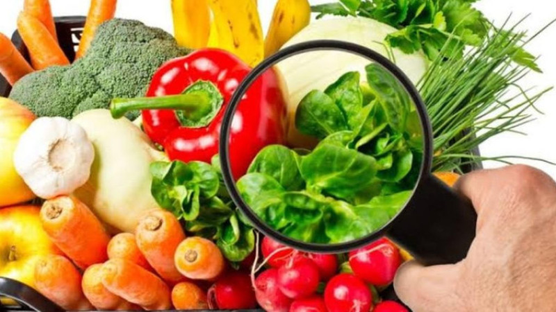 ‘GÜVENİLİR GIDA’ UYGULAMASI HİZMETTE